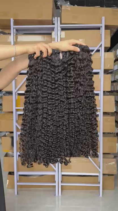 Burmese Curly